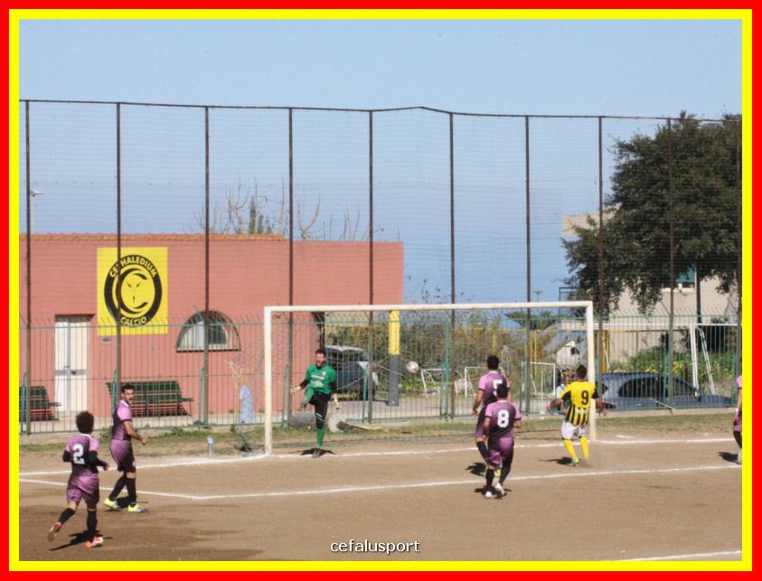 190310 Cephal_Torrenov 061_tn.jpg